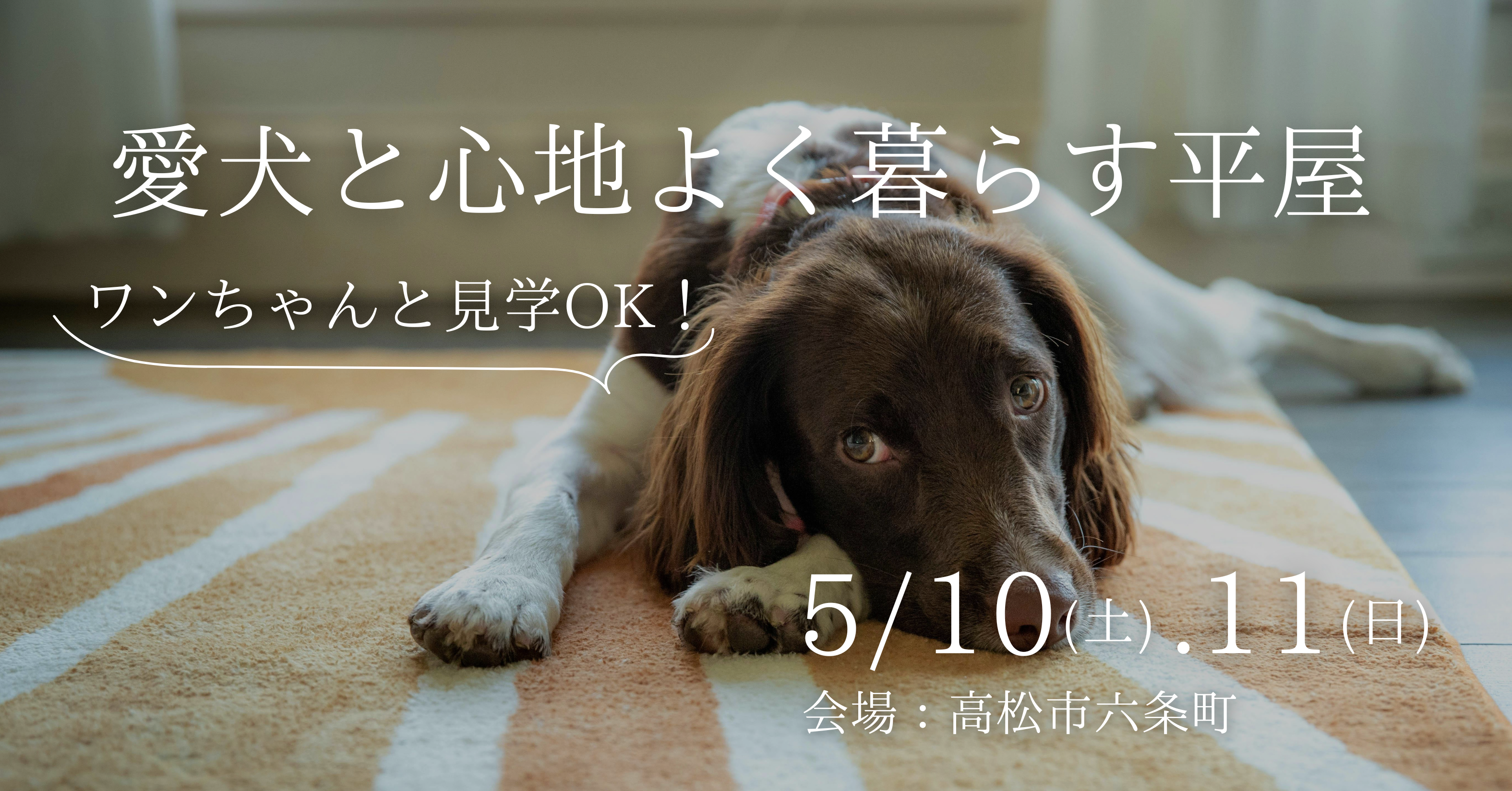 「愛犬と、もっと心地よく暮らす平屋」見学相談会